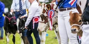 Kent County Show 2022 At Kent Showground in Maidstone